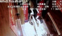 网红家暴事件爆料视频,视频揭露惊人真相，网友热议道德沦丧