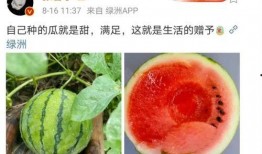 娱乐吃瓜料,明星们的幕后故事与八卦风云