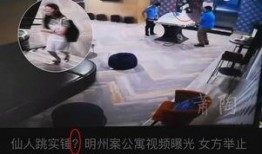 秦湘子外卖爆料视频,揭秘外卖行业那些不为人知的秘密