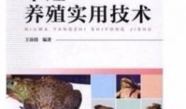 牛蛙饲养爆料视频教程,跟随视频教程轻松入门