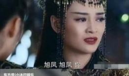 王一菲八卦爆料视频,视频爆料背后的惊人真相