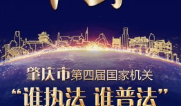 肇庆民生007新闻爆料,聚焦民生热点，揭示社会现象