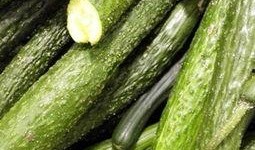 东北网红现在怀孕吃瓜,揭秘孕期生活点滴