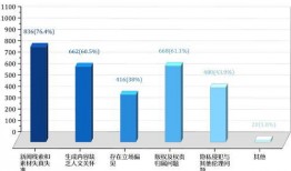 新闻媒体爆料案件分析,案件背后真相曝光，细节披露令人震惊