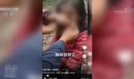 辛巴事件女主爆料视频大全,真相与争议交织的舆论漩涡
