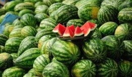 庆阳网红吃瓜事件真相,揭秘背后真相与反思