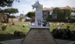 宠物公墓 在线观看,深情告别，永恒陪伴