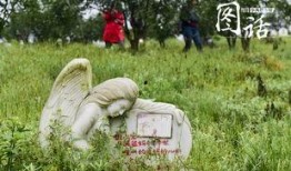 宠物公墓 在线观看,深情告别，永恒陪伴