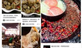肥猪爆料虎子视频,揭秘背后惊人真相