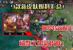 十二款新皮肤爆料视频