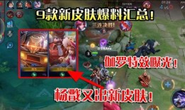 十二款新皮肤爆料视频