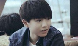 谁爆料王俊凯了啊视频大全,视频爆料背后的真相全解析