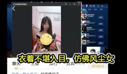 莎莉陪玩爆料视频,游戏世界里的真实情感与互动