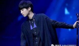 谁爆料王俊凯了啊视频大全,视频爆料背后的真相全解析