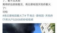商丘新鲜爆料案件最新,最新案件细节曝光，疑云重重引关注