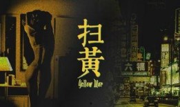 扫黄电影在线观看,在线观看背后的真相与挑战