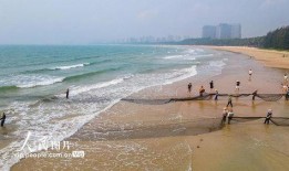 海南赶海爆料视频下载最新,最新爆料视频带你领略海洋魅力