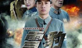 电视剧雪豹全集在线观看,热血抗战，青春无悔的传奇征程