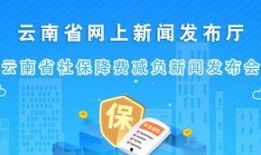 新闻爆料是免费吗,揭秘幕后真相