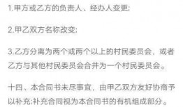 执法新闻爆料怎么写范文,深度解析事件背后真相