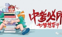 徐云粉丝爆料最新消息视频,揭秘徐云背后惊人真相！