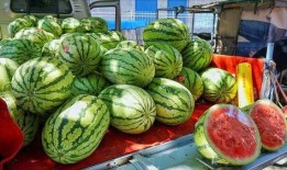 庆阳网红吃瓜事件真相,揭秘背后真相与反思