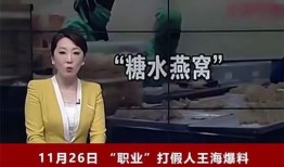 辛巴事件女主爆料视频大全,真相与争议交织的舆论漩涡