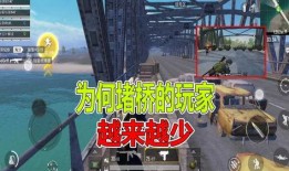 和平精英最新堵桥爆料,全新堵桥战术曝光，战场格局再掀风云