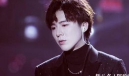 媒体爆料刘宇宁视频,引发网友热议