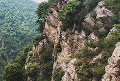 阴森林在线观看,在线惊悚之旅，揭秘神秘森林的恐怖传说