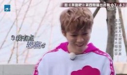 圈内爆料热巴鹿晗,圈内爆料引粉丝热议