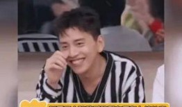 吃瓜娱乐王大陆,揭秘娱乐圈幕后故事