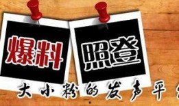 新闻爆料是免费吗,揭秘幕后真相