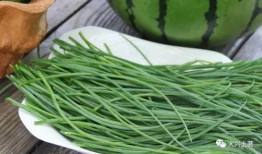 近期热门吃瓜网红,揭秘近期热门吃瓜网红背后的故事