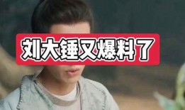 刘大锤爆料女神视频,女神视频幕后真相大揭秘