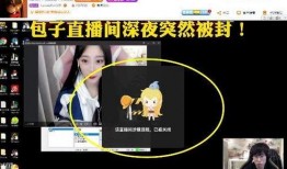 莎莉陪玩爆料视频,游戏世界里的真实情感与互动