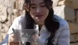 娱乐圈爆料黄磊,揭秘明星背后的故事