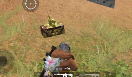 最新国服特效枪爆料,特效枪械华丽登场，视觉盛宴即将开启！