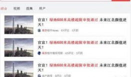 武汉大爆料视频,揭秘视频背后的惊人真相