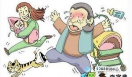 记者爆料大连人视频大全,记者爆料揭秘大连风土人情