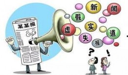 新闻媒体爆料案件分析,案件背后真相曝光，细节披露令人震惊