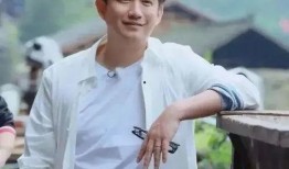 娱乐圈爆料黄磊,揭秘明星背后的故事