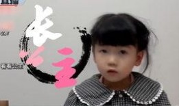 李老八爆料斗鱼视频播放,斗鱼视频播放背后的秘密