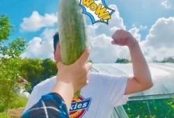 吃瓜网红小孩是谁啊