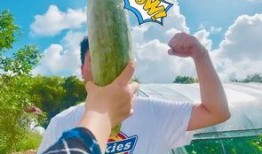 吃瓜网红小孩是谁啊