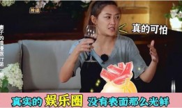 圈内爆料明星真的吗,明星真相揭秘，是真是假？