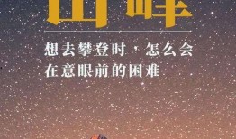 明星爆料文案励志视频,明星爆料背后的奋斗故事