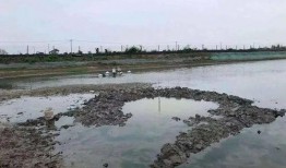 博主来爆料大结局视频在线观看,博主独家爆料视频在线观看