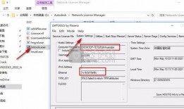 开春皮肤爆料视频下载安装,新装亮相，视觉盛宴