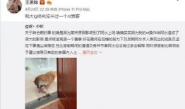 表哥最新爆料事件,事件背后惊人真相曝光